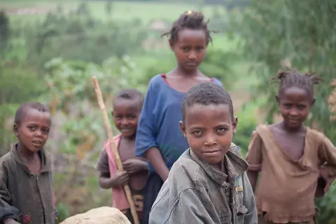 dime children/ ዲምኮ ንሣፍ/የዲሜ ልጆች